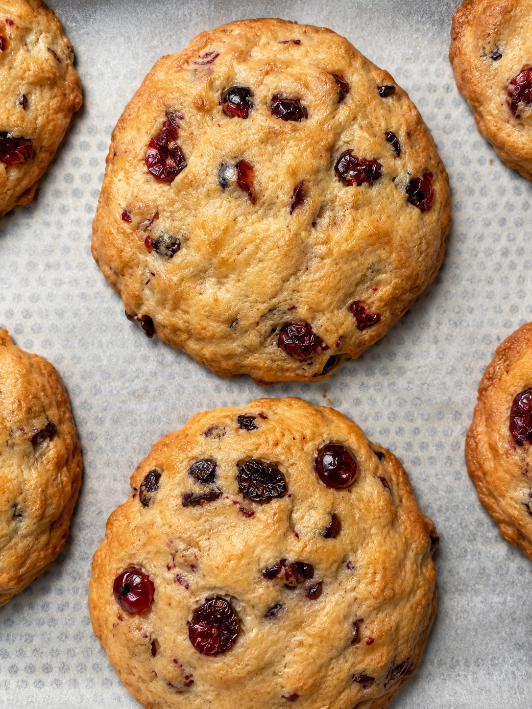 Pack de 3 Cookies de chocolate blanco y arándanos - sin gluten sin lácteos